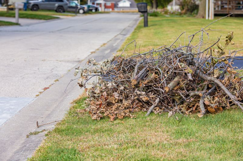 Yard Cleanup Service detail