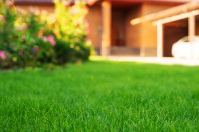 Spring lawn preparation