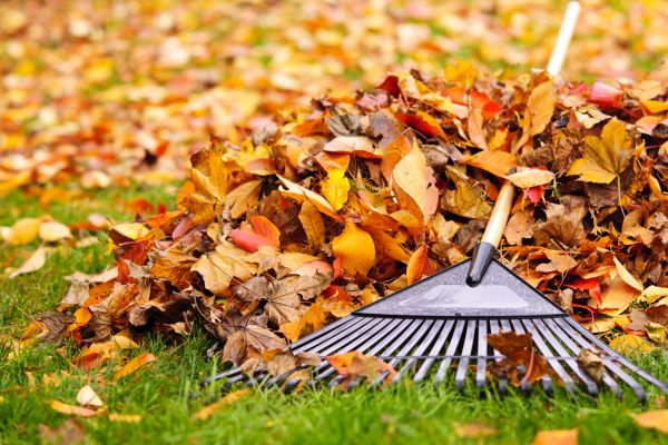 Cost of Fall Lawn Cleanup Service in Durham
