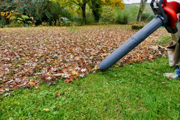 Cost of Leaf Vacuuming Service in Durham