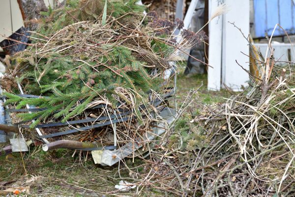 Cost of Yard Debris Removal in Durham