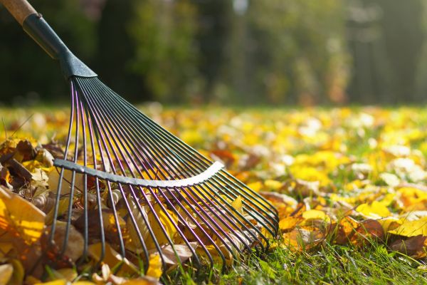 Cost of Leaf Raking Service in Durham