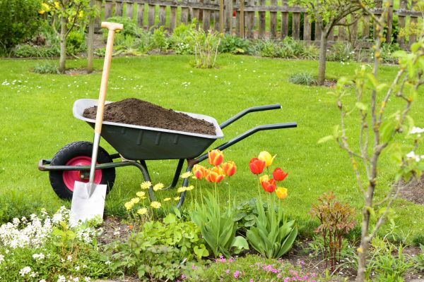 Cost of Spring Yard Cleanup in Durham