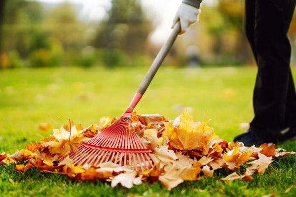 Cost of Ditch Leaf Removal in Durham