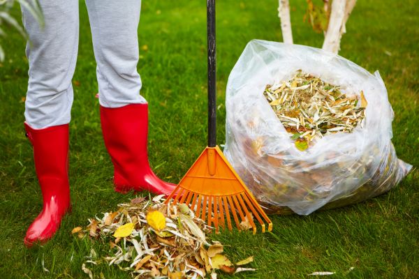 Cost of Leaf Disposal Service in Durham