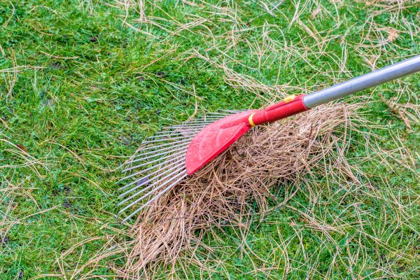 Cost of Yard Raking in Durham