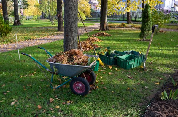 Cost of Leaf Clearing Service in Durham