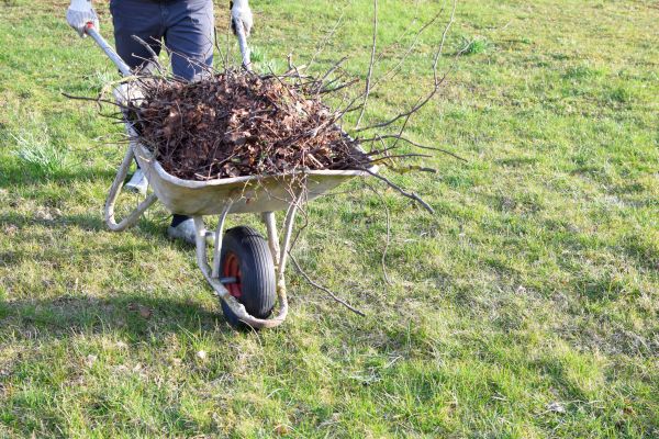 Yard Brush Removal in Durham