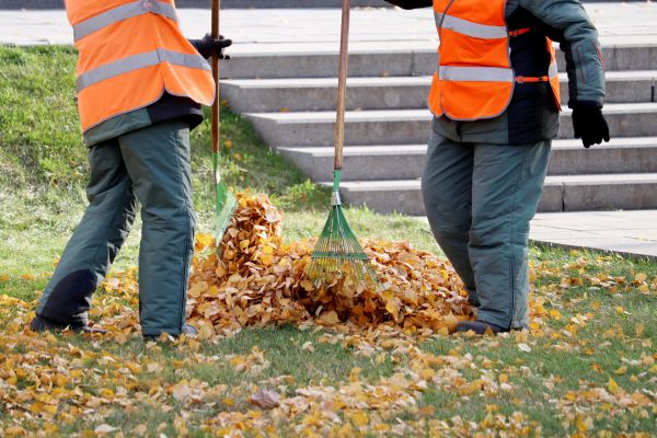 Cost of Leaf Hauling Service in Durham