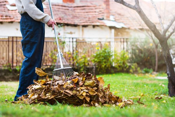 Cost of Spring Lawn Cleanup in Durham
