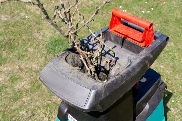 Cost of Brush Cleanup Service in Durham
