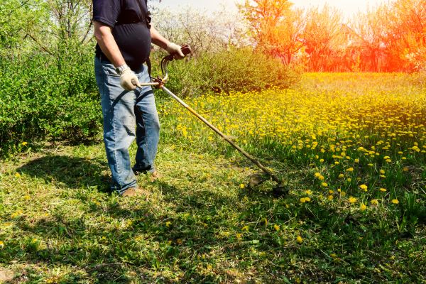 Cost of Yard Clearing Service in Durham