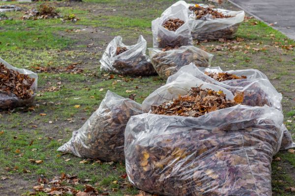 Cost of Leaf Pile Disposal in Durham
