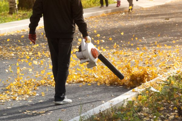Cost of Commercial Leaf Removal in Durham